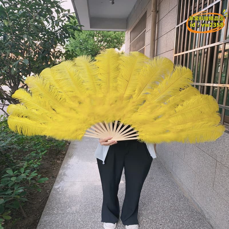 【台灣現貨】定.制大號12骨鴕羽毛扇子肚皮舞蹈酒吧表演道具羽毛絨大扇子 | 露天市集 | 全台最大的網路購物市集
