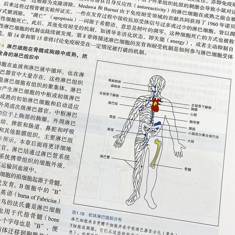 高清彩色詹韋免疫生物學原書第九9版英文中譯本周洪譯| 露天市集| 全台