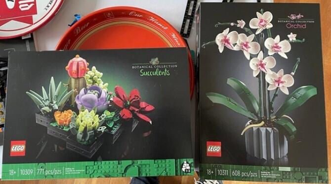 [全場免運]LEGO樂高10311蘭花 10309多 | 露天市集 | 全台最大的網路購物市集