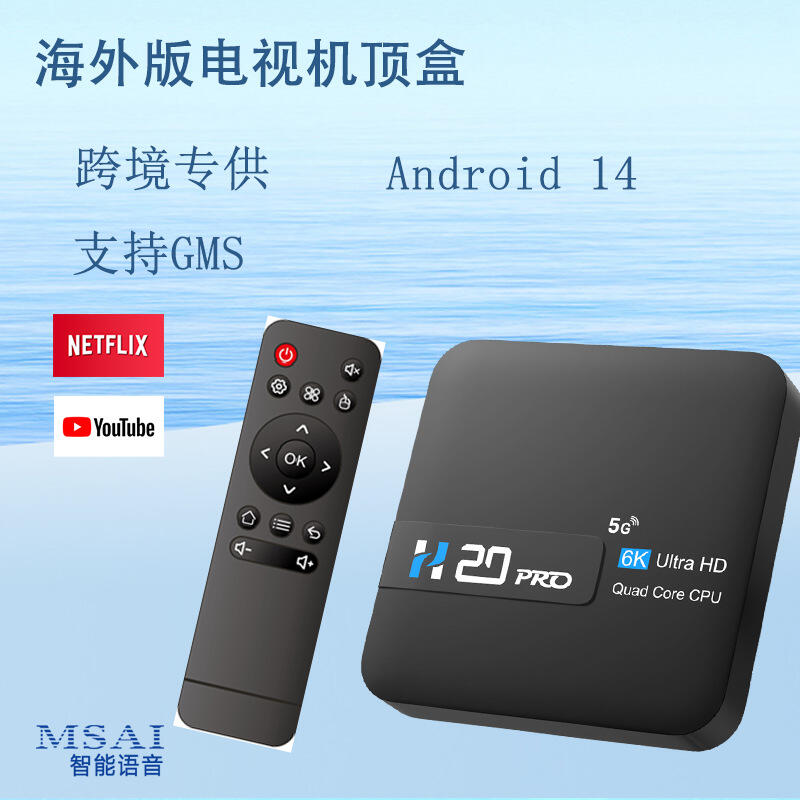 【台灣現貨】網絡機頂盒 H20PRO全志H313安卓14TV-BOX網絡機頂盒支持無線投屏電視盒子 | 露天市集 | 全台最大的網路購物市集