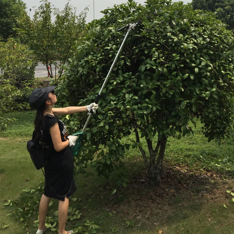 【人氣爆款】高空剪高枝剪直流伐木鋸高枝鋸剪果樹枝剪刀粗枝修充電式電動48V | 露天市集 | 全台最大的網路購物市集