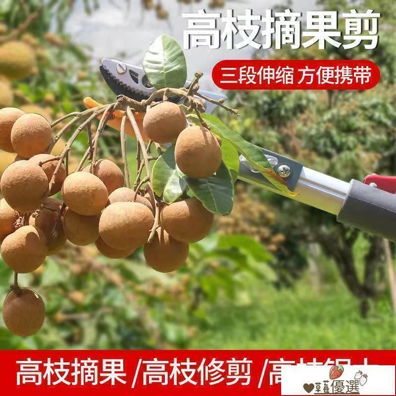 【免運+促銷】高枝剪 果枝剪 摘果器 多功能高空摘果剪摘果器伸縮桿果樹高枝剪剪枝剪刀摘柿子枇杷荔枝 | 露天市集 | 全台最大的網路購物市集