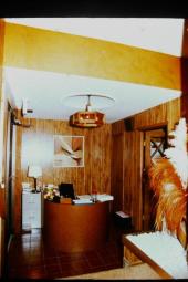 1970年代彩色滑動拼接接見區附羽毛,桌面燈和文件櫃