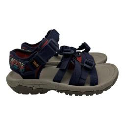 teva alp 2024 1