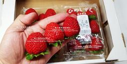 日本熊本草莓 比價撿便宜 優惠與推薦 22年4月