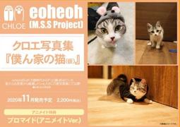 代購 Gamers特典版eoheoh M S S Project 攝影愛貓寫真集 僕ん家の猫 特典 寫真卡 露天拍賣
