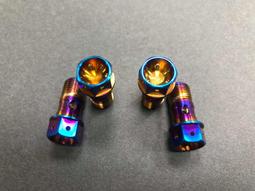 POSH 白鐵鍍鈦螺絲 外六角油管螺絲P1.0 油管螺絲P1.25/Brembo總泵油管螺絲/原廠總泵油管螺絲 POSH 白鐵鍍鈦螺絲 外六角油管螺絲P1.0 油管螺絲P1.25/Brembo總泵油管螺絲/原廠總泵油管螺絲