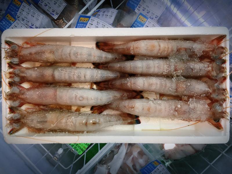 東門水產 澎湖嚴選 8隻裝澎湖野生明蝦明蝦車海老車蝦海鮮海產水產白蝦草蝦龍蝦干貝冷凍宅配防疫 露天拍賣