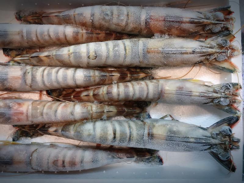 東門水產 澎湖嚴選冷凍宅配防疫澎湖野生明蝦明蝦車海老車蝦海鮮海產水產白蝦草蝦龍蝦干貝 露天拍賣