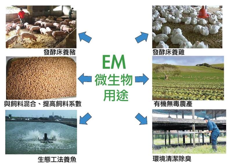 Em菌 Emb優惠組合1l 買2送1 養殖養水 化糞池除臭 汙水處理 池塘淨化專用 露天拍賣