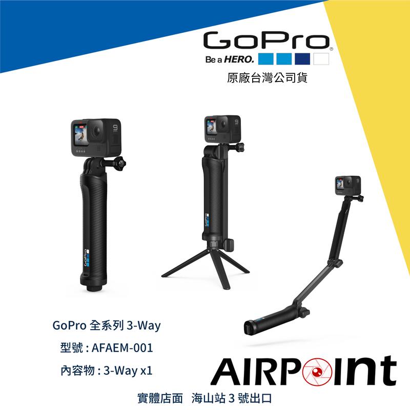 品質一番の GoPro AFAEM-001 3-Way
