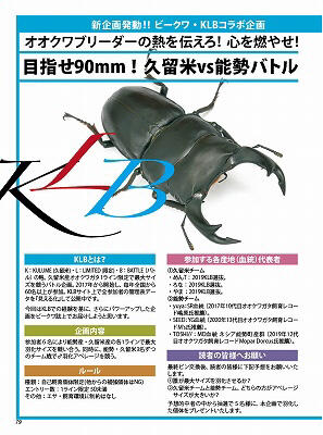 現貨> 日本Bekuwa 甲蟲雜誌No.82 豎角兜蟲獨角仙鍬形蟲全新| 露天市集