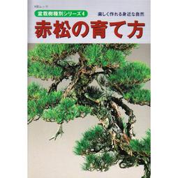 樹松盆栽第4頁- 比價撿便宜- 優惠與推薦- 2023年9月