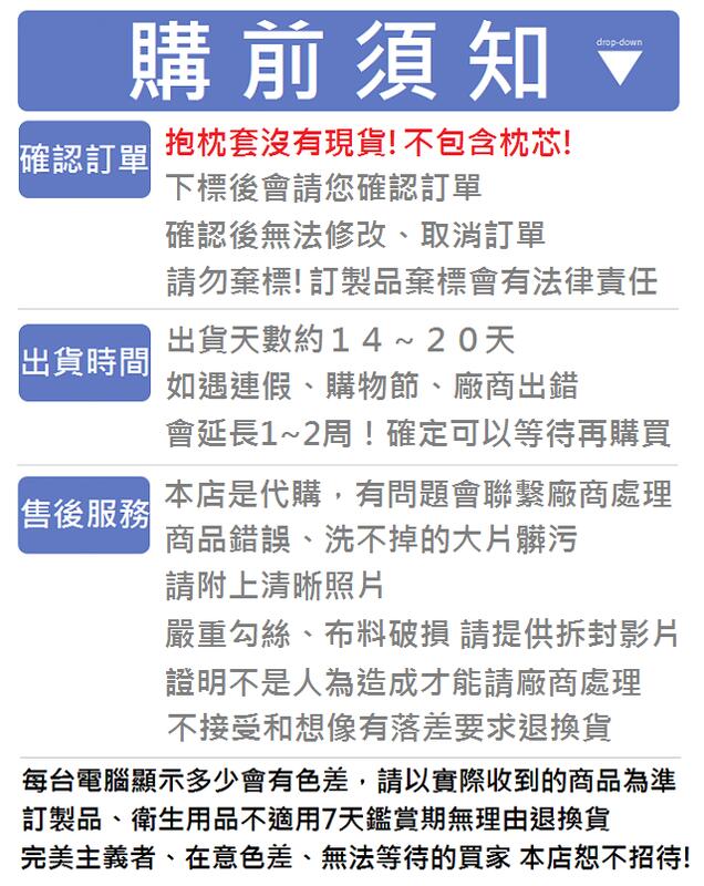 萌柚香 預購出租女友一之瀨千鶴水原千鶴抱枕套水原千鶴等身抱枕套動漫枕套枕頭套等身枕套抱枕 露天拍賣